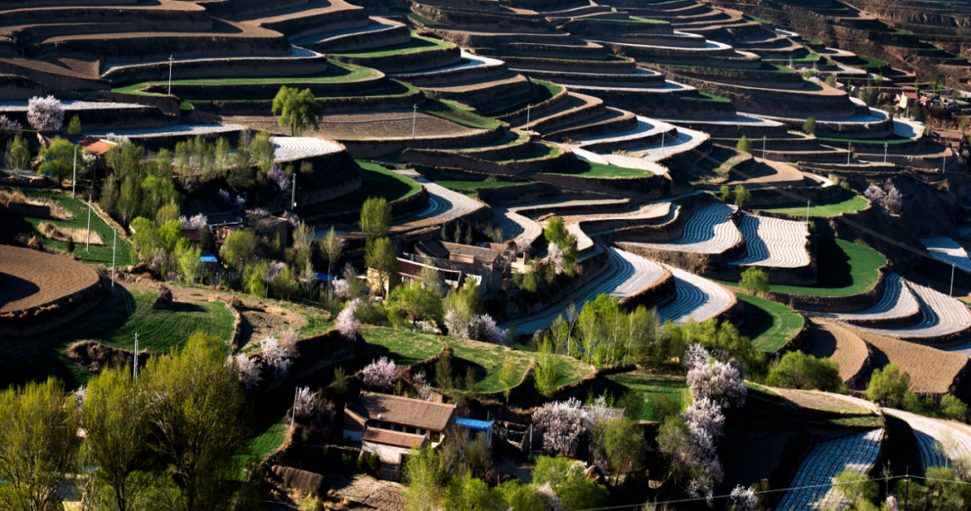 耕耘春天 播種希望